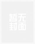 清穿九福晋的小说有哪些